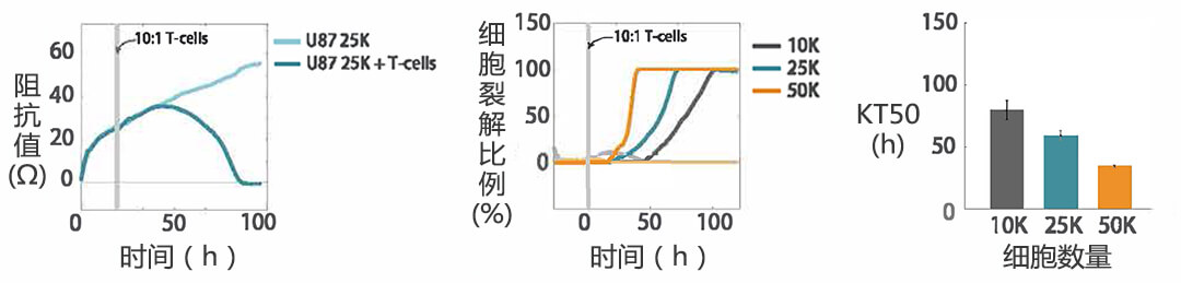 Axion Biosystems MAESTRO Z(sh)r(sh)o(bio)ӛ(x)x