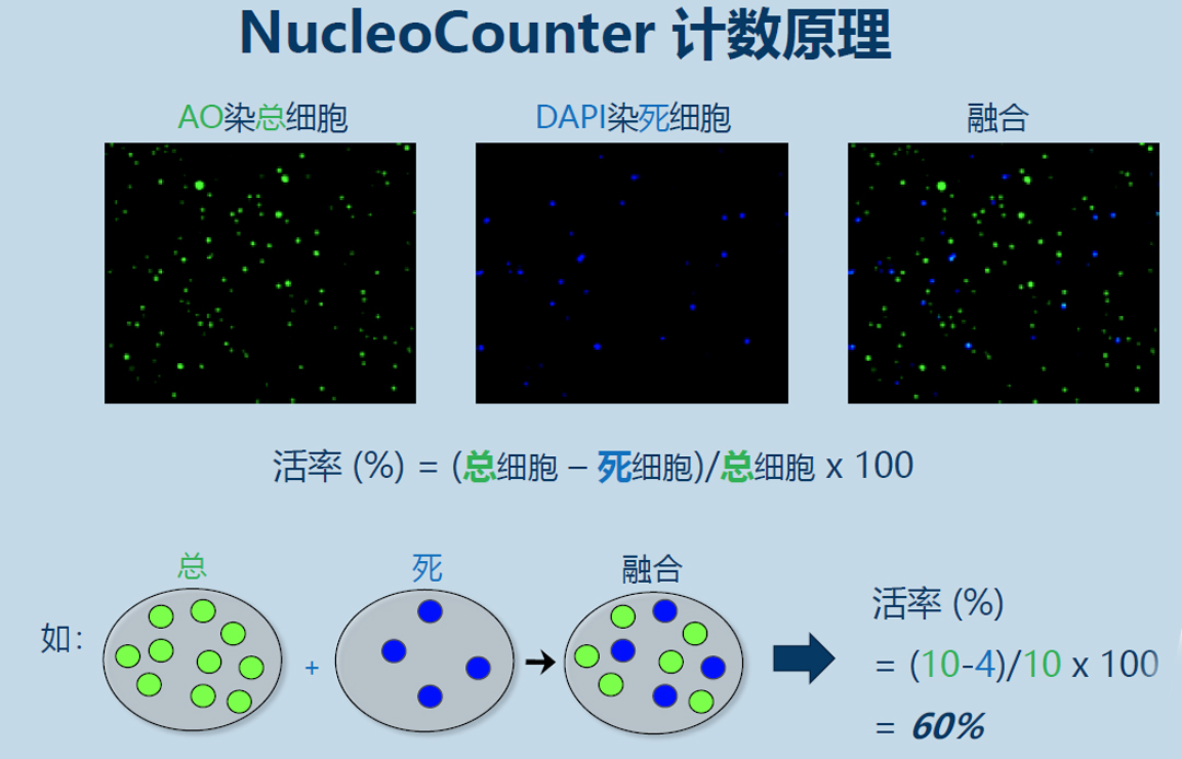 Chemometec NucleoCounter(x)Ӌ(j)(sh)x