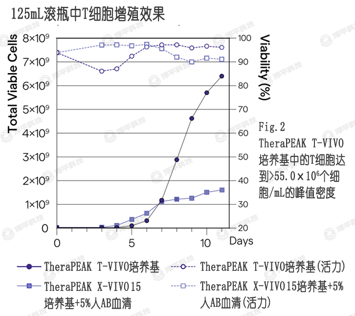 T-VIVOB(yng)ѪX-VIVO 15B(yng)ṩߵļa(chn)ͻ ƽ