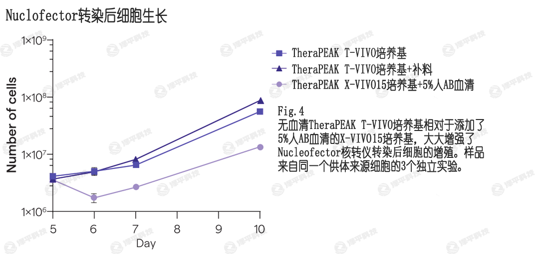 NucleofecterD(zhun)ȾT-VIVOB(yng)ṩߵD(zhun)Ⱦ󼚰ֳ ƽ