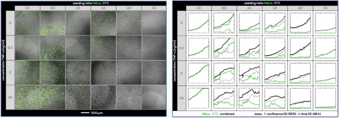 Axion CytoSMART Omni(ni)ȫԄӼ(x)ϵy(tng)(x)B(yng)