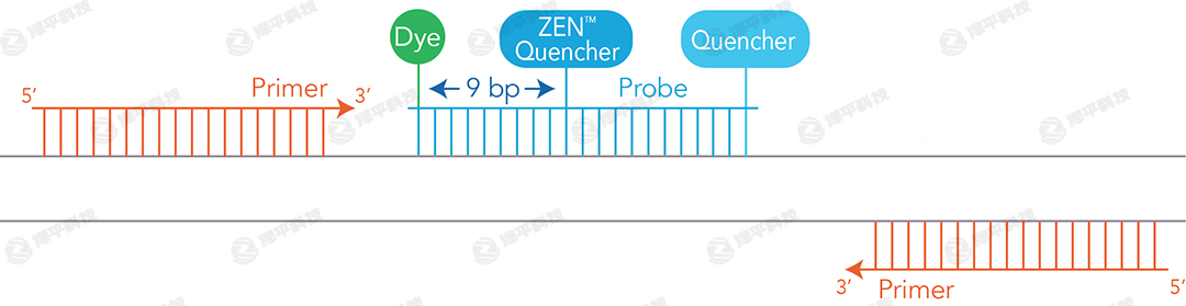 IDT(sh)r(sh)ɹⶨPCR qPCR̽ᘺϳɷ(w)̱ƽ