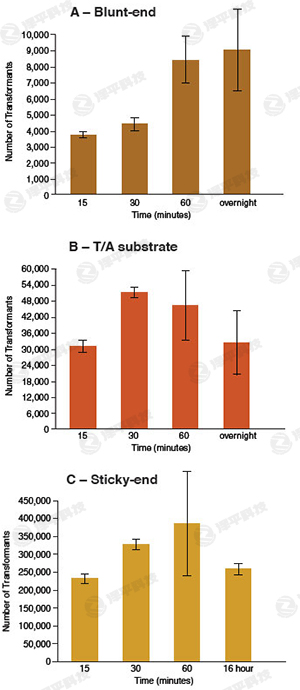 NBEDBøElectroLigase؛̖M0369 ̱ƽ